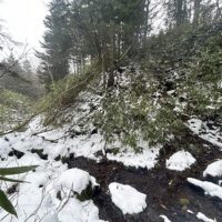 小屋近くで藪を漕いで薄別川右沢の支流を渡る