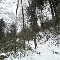 より道らしくなってくる