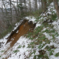 道が崩れて、ほとんど道幅がない