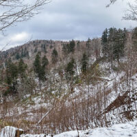 木がなく視界が開ける。先の道や832m峰も見える。