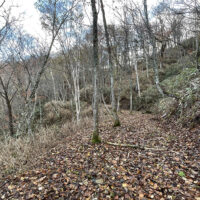 このあたりは道がはっきりしている