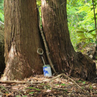 祓井戸：この地の頭百姓が建立した。この井戸の水は、眼病に効能があると伝えられている。石には1826年（文政9年）と刻まれている。