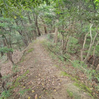 バイパスの上を通る