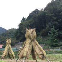 ヨズクハデ：秋に稲を天日干しするのに、全国でもこの場所だけで行われるヨズクハデという形がある。ヨズクとはフクロウの事で、稲束を架けた姿がフクロウに似ている事からこの名がついた。風に強く、使用する木材が少なくて済むこの方法は、文化庁の民俗文化財に選ばれている。伝説によると、水上神社に祀られている二柱の神が、大風の度に稲ハデが倒壊し、悩んでいる里人に、漁網を干す方法を伝えたのがはじまりと言われている。