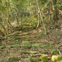 清水の石畳（しみずのいしだたみ）：石見銀山街道を将棋岩からさらに温泉津沖泊へ進み、岩盤に刻まれた石段と、敷石の石畳の階段を更に下ると福光石の石切り場が現れる。一帯は、石見銀山街道の中でも、もっとも往時の風情が残されており、ゆっくり歩いて頂きたい場所のひとつである。