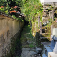 西念寺の横を通る