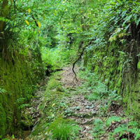 少し進んだところ