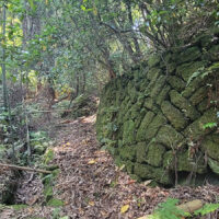 西念寺の横を通りさらに進む