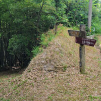 沖泊への分岐：舗装道路から逸れ、沖泊集落へ下って行く分岐。笹の中を下って行くと、やがて集落が見えて来る。
