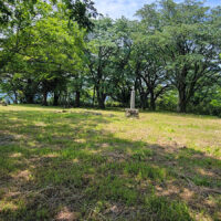 山吹城跡：要害山(ようがいざん)ともよばれる標高430mの独立峰である。銀山を発見した周防の大内氏が、銀山防衛のために築いたもので、その時期は『銀山旧記』などによると延慶年間（1308～1311）の事といわれる。 戦国時代になると、銀山領有をめぐって大内、尼子、毛利などによる抗争が約40年間くり返された。江戸時代に入ると、銀山一帯は幕府の直轄地となり、山吹城も廃城となった。大手口を登ると大石垣が残り、砦跡の平地（なりち）や空堀がある。山上の本丸は1,500平方メートルくらいの平地だが、遺構は残っていない。山麓の西本寺の山門は、城門の遺構と伝えられている。