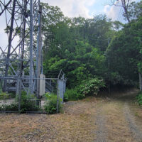 七本槙（しちほんまき）