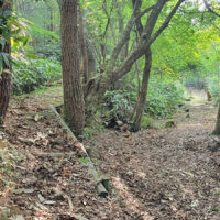 湯抱（ゆがい）分かれ