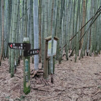 十王堂と茶屋跡