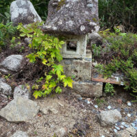 祠の正面
