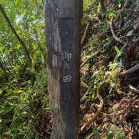 御田に立つ標柱