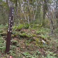 賽の神跡に残る石積み