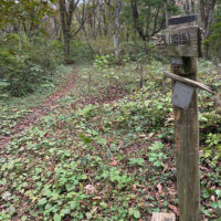 七時雨山登山道との分岐