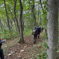 看板のすぐ右を先の方へ下る