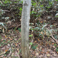 峠まで2.0km標柱