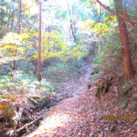 緩い登り坂が続きます