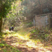 簡易水道施設の左側を進む