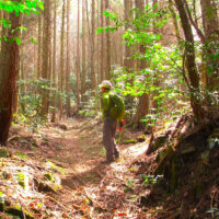 山裾の踏み跡を藪をかき分けながら進む