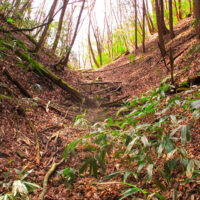 まもなく杉ケ峠に着く。津和野藩の玄関にも当たる場所であったが、今はめったに人が通らぬ寂しい峠になっている