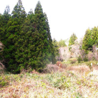 荒れ放題の唐人屋