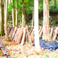 三ノ瀬の崖上に残る旧街道