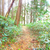 三ノ瀬の崖上に残る旧街道
