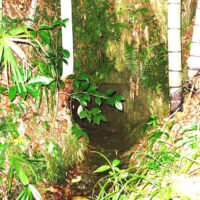 亀田の水穴出口