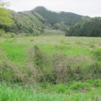 畔無し八町八反八畝の田圃