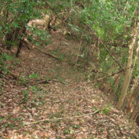 なお崖上に続く街道跡