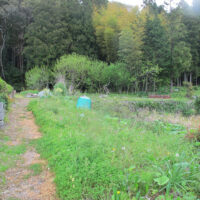 田丸の代官屋敷跡