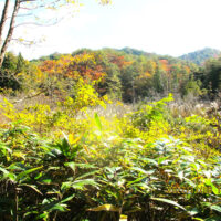 越ヶ原に着きました。昔は人家もありました