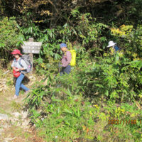 中道に着きました