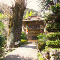 街道は願行寺の横を通り星坂に上がって行く