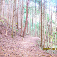 暫く平坦な径をなり横山の裾を進む