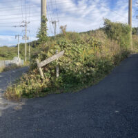 道標に従って右へ