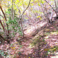 幅1mほどの街道が続く