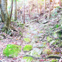 苔むした石畳も現れて