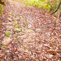 石畳が残る街道