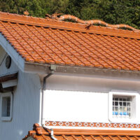 屋根に龍が降りた農家