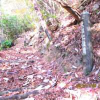 熊に注意の標識も