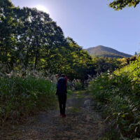 スキー場近くより頂上をあおぐ