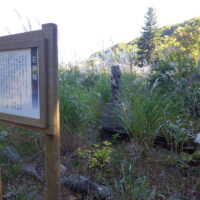 石神神社は倒壊しており、『石神様』の看板と石柱があった。また石仏などが残っていた。