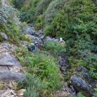 沢沿いの岩場を下る