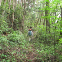 松ヶ峠に上っていく